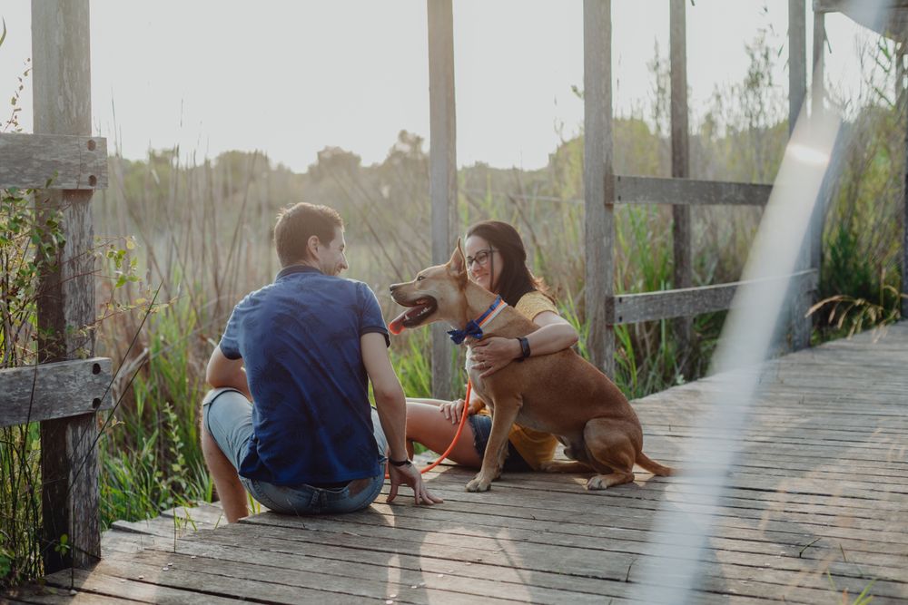 Cheerful adult couple playing with dog at countryside