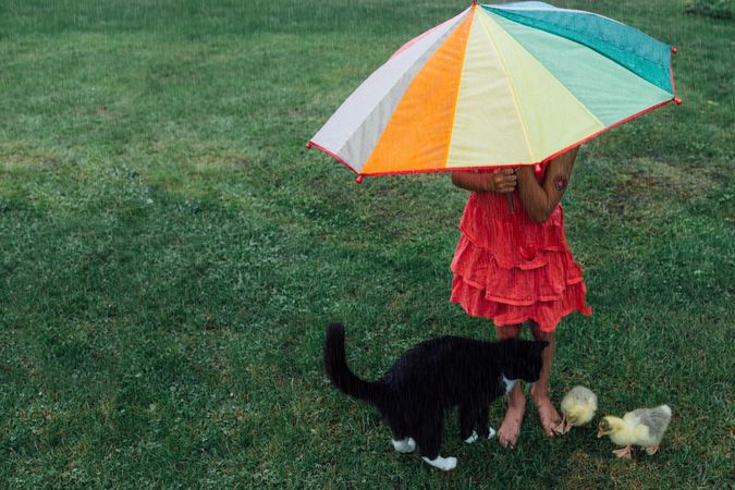 Girl holding umbrella beside cat and ducks standing on green field