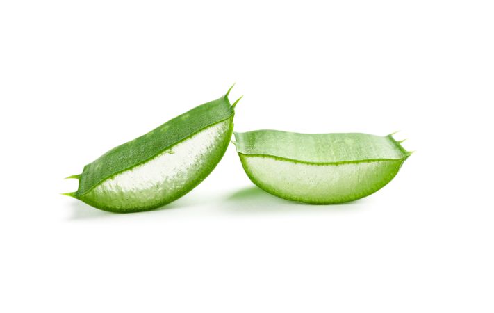 Aloe vera slices isolated on studio background. Herbal medicine