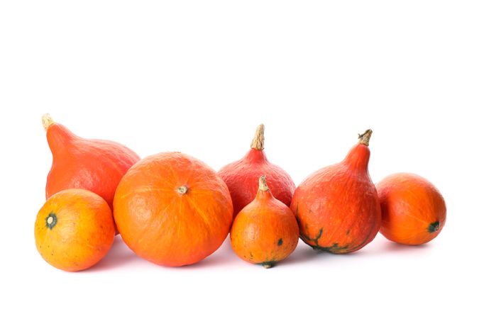 Group of fresh pumpkins isolated on blank background