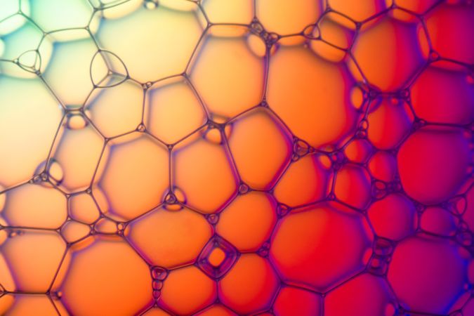 Abstract background bio technology, macro photography foam and water with gradient background. Molecule multicolor backgorund