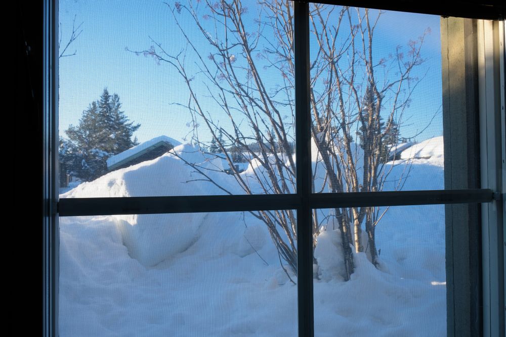 Snow pile and bush behind window
