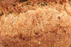 Wheat bread as background, closeup. Bakery products