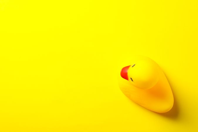 Rubber duck on yellow background, space for text