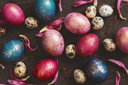 Top view of pink and gold eggs mixed with quail eggs and petals on dark background