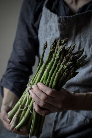 Faceless woman holding bundle of green asparagus