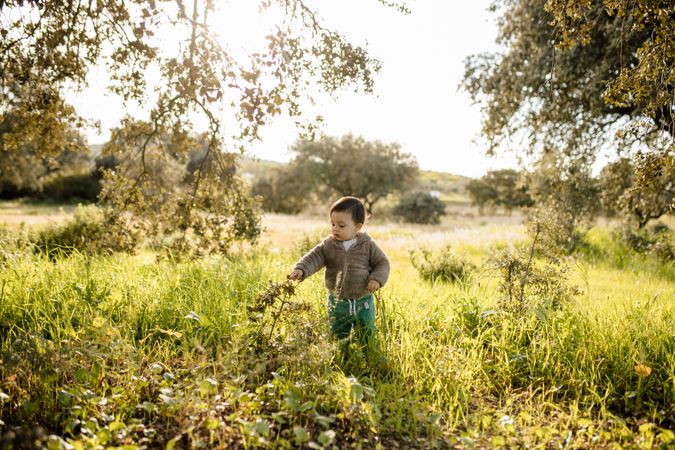 Young boy reaching towards a branch in a field