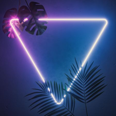 Fluorescent triangle frame with tropical leaves