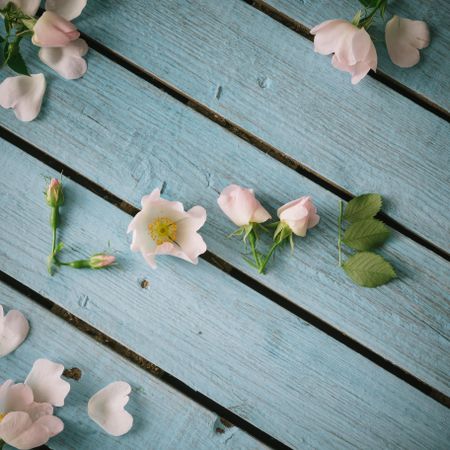 Word LOVE made of flowers and leaves