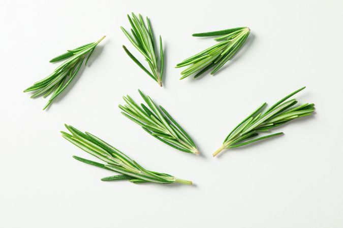 Flat lay composition with rosemary on neutral background, space for text