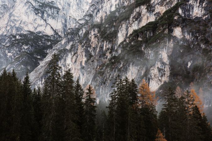 Big mountains near pine forest on cloudy weather