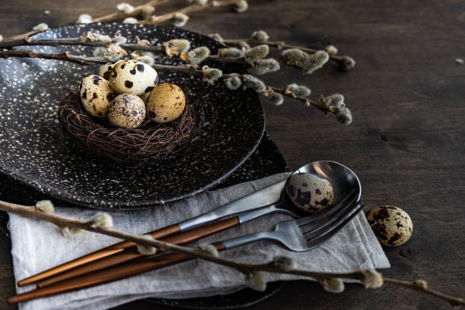 Easter table setting with delicate nest and quail eggs