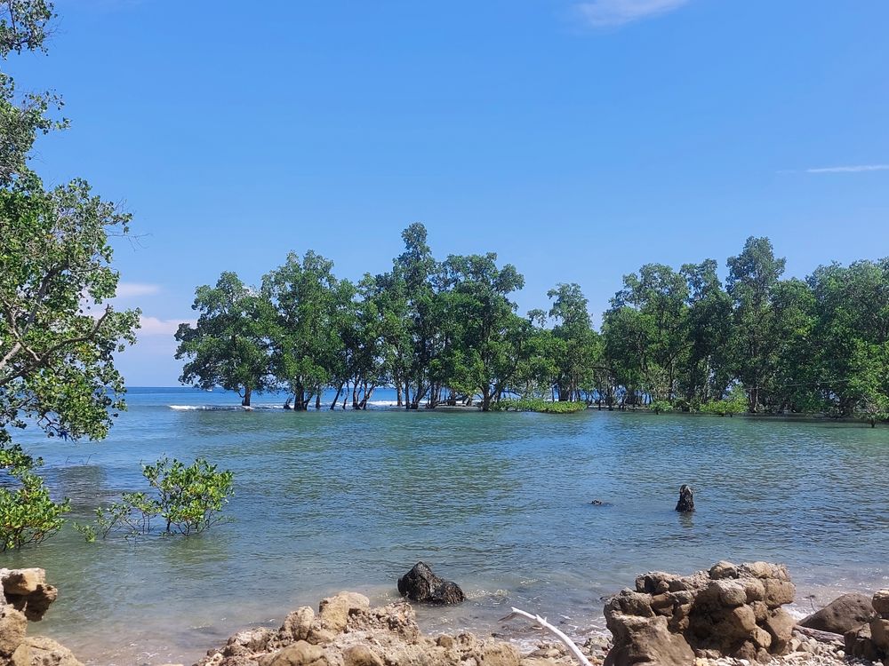 The landscape around the sea