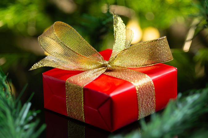 Christmas Gift Box Under Festive Tree