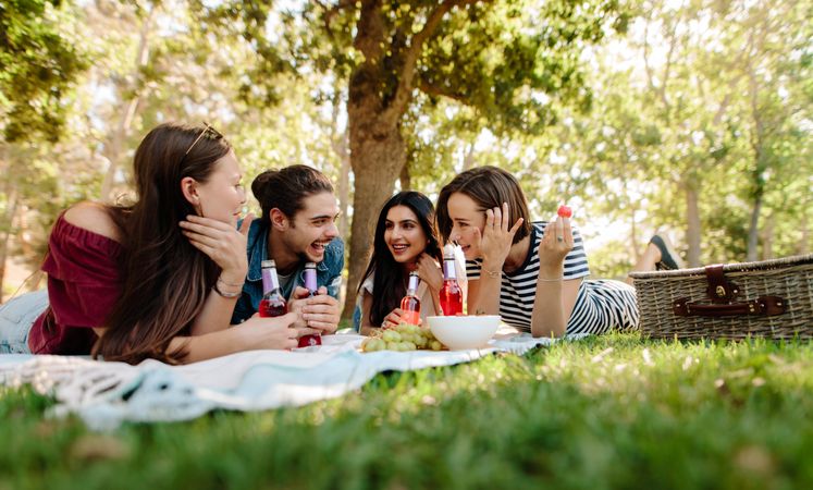 Group of friends having fun at picnic with beers on warm day
