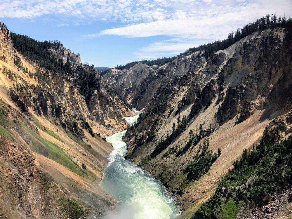 Summer Symphony: Roaring River in Yellowstone Canyon