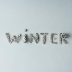 "WINTER" made of tree branches and pine cones on light background