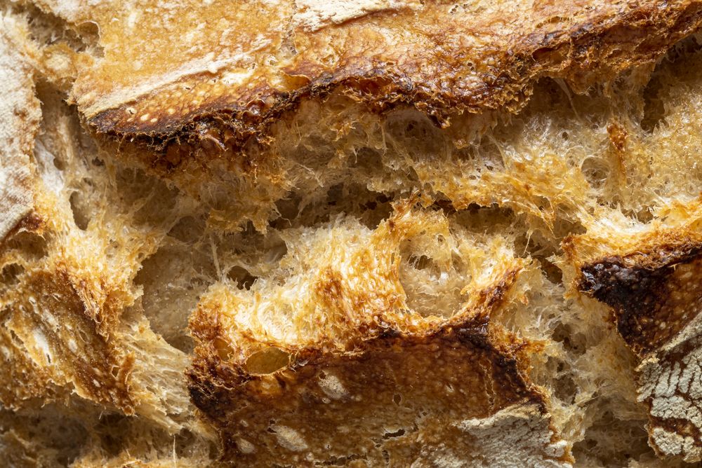 Macro shot of sourdough bread