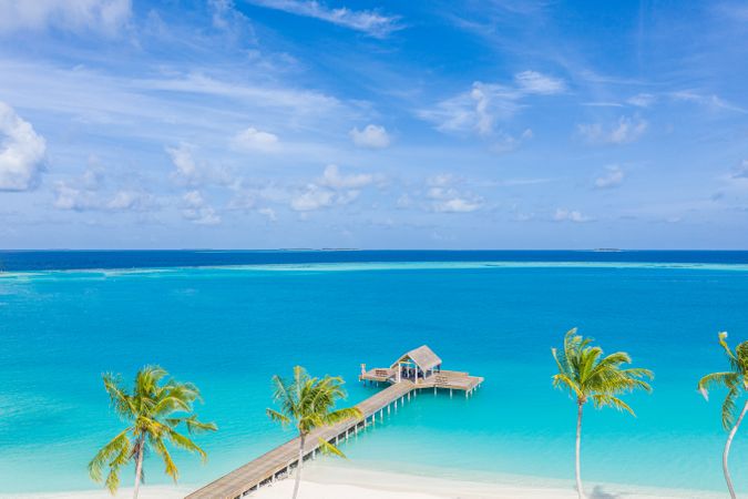 Pier and palm trees in a tropical island