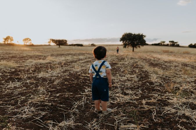 Back view of little boy in a field with trees in the distance