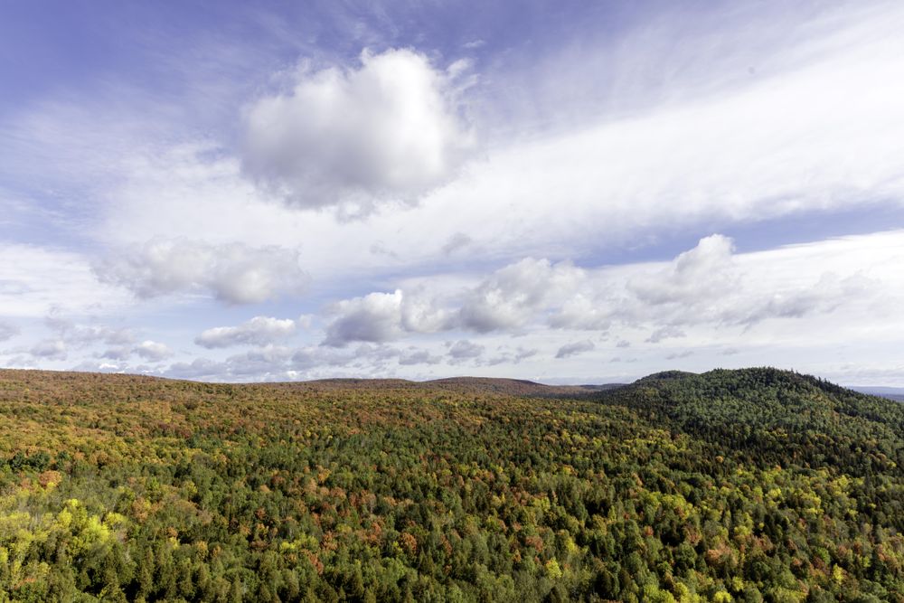 Autumn leaves from an overlook on the Oberg Mountain Trail Head in Tofte, Minnesota