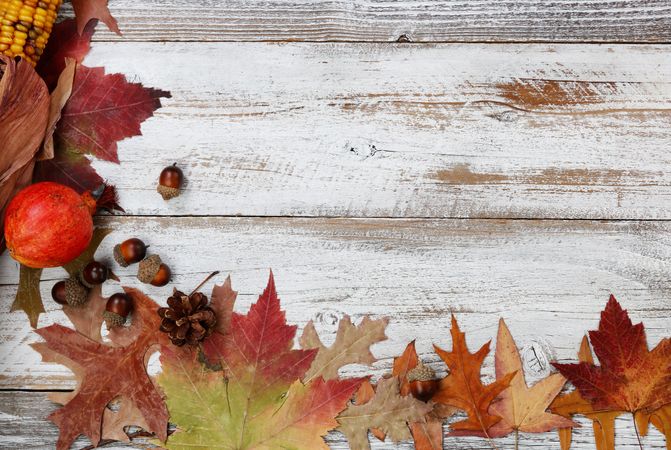 Left side border of autumn decorations on rustic wooden boards