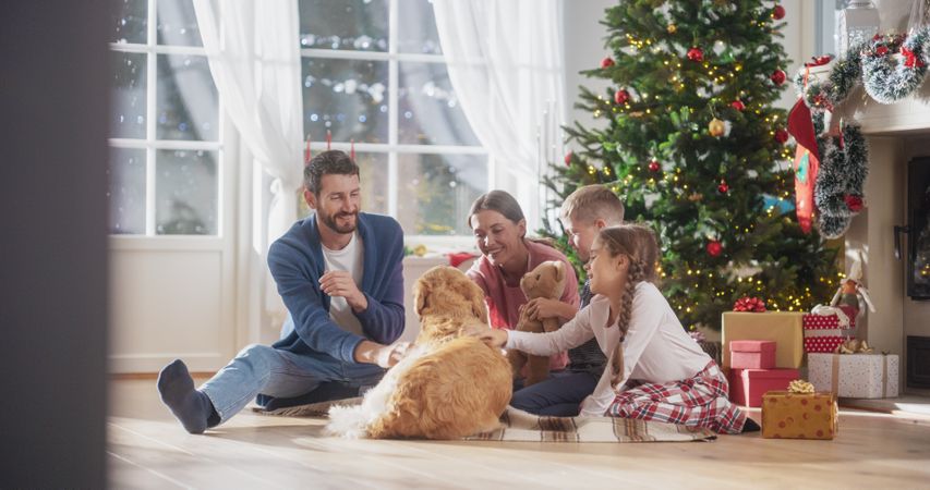 Cute Pet Receiving a Lot of Love and Treats on Holiday, Family Bonding Together