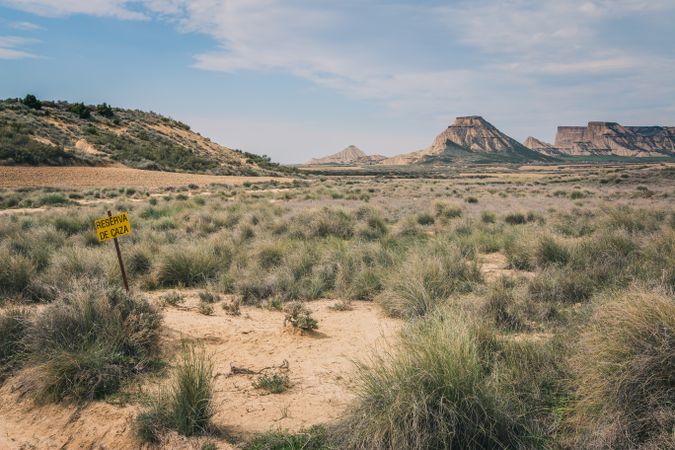 Desert hilly landscape with dry green vegetation