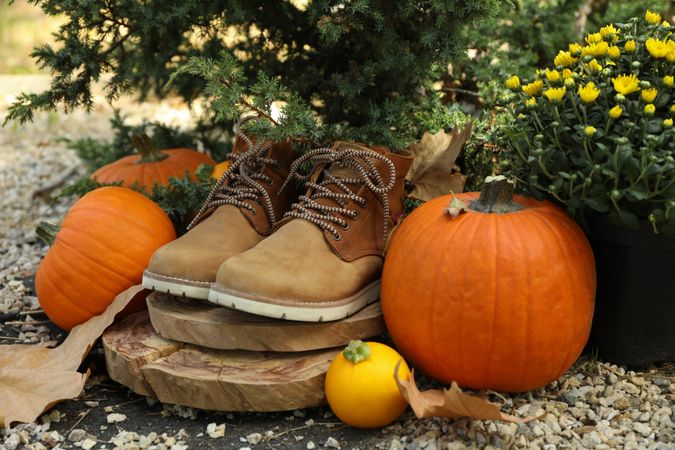 Cozy autumn concept with pumpkins outdoor in the park
