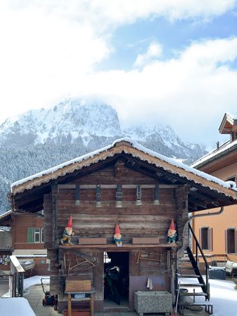 Garden gnomes on wooden shed in the Alps