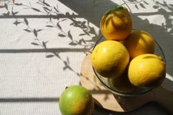 Fresh lemons in the morning light, with copy space