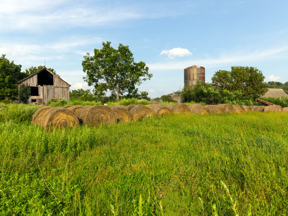 Working farm in Branchville, New Jersey