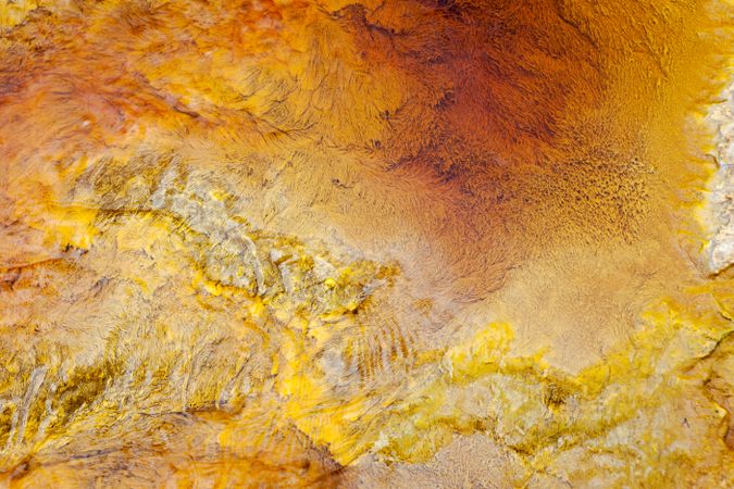 Bright orange splashes in nature