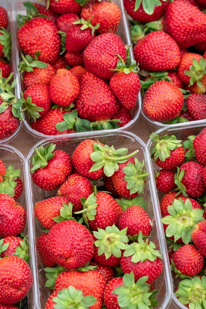 Red strawberries in clear plastic container