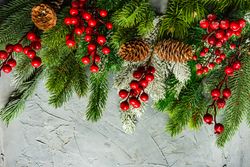 Wintry branch, holly and pine cones on grey background with copy space