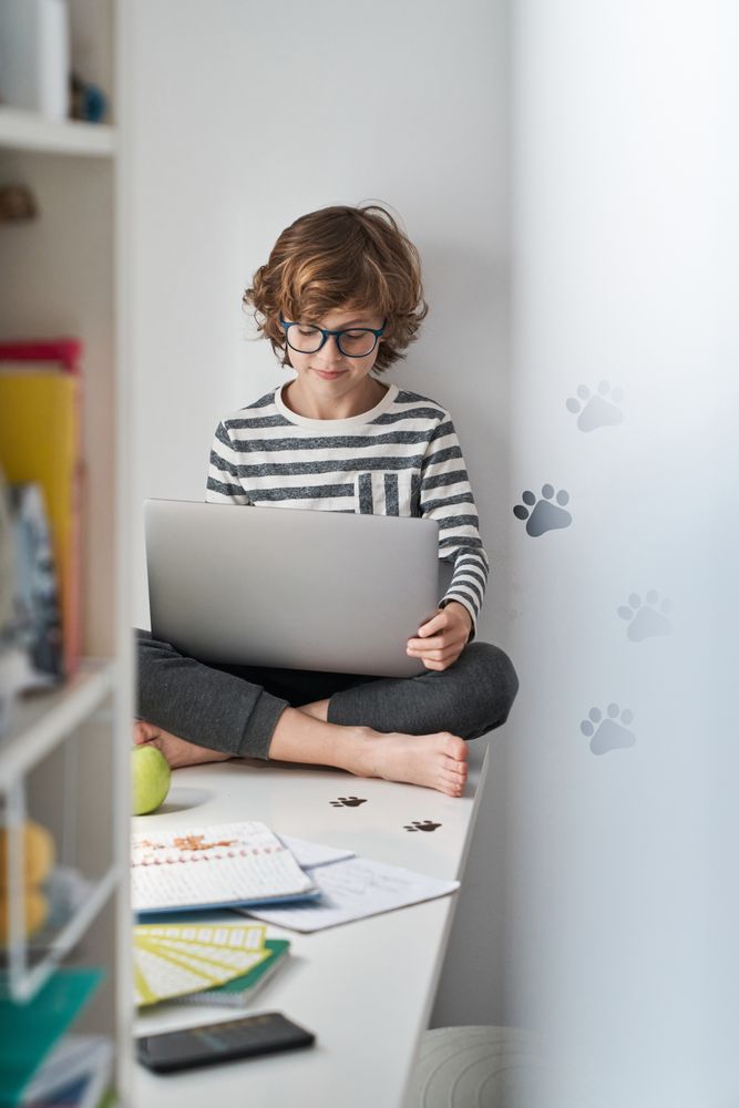 Boy using laptop while sitting on table in bedroom
