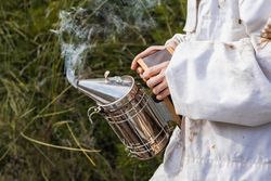 Crop beekeeper with smoker in garden