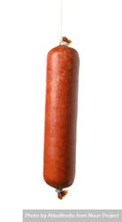 meat tied with string