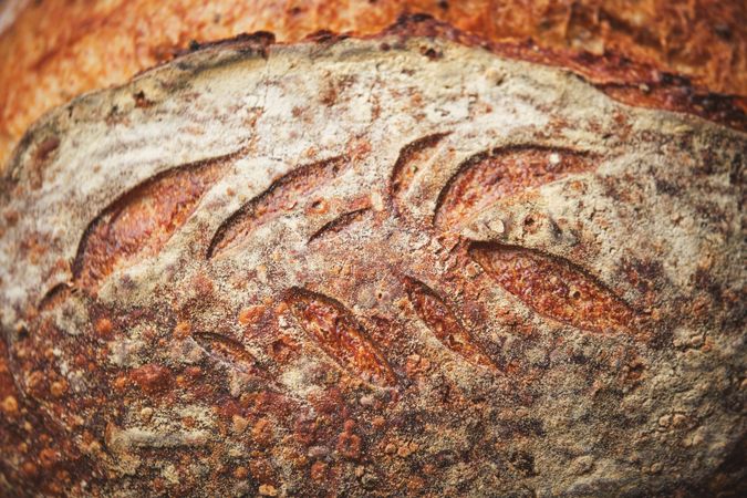 Whole wheat spelt bread with sourdough from organic flour
