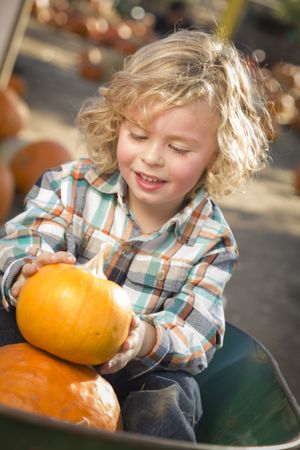 Little Boy Sitting and Holding His Pumpkin at Pumpkin Patch.