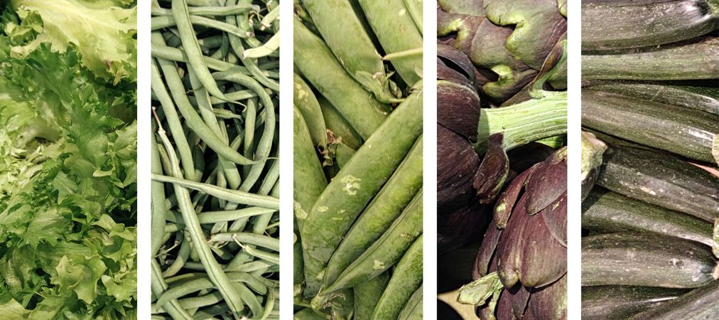 Colorful Vegetables Collage On Background