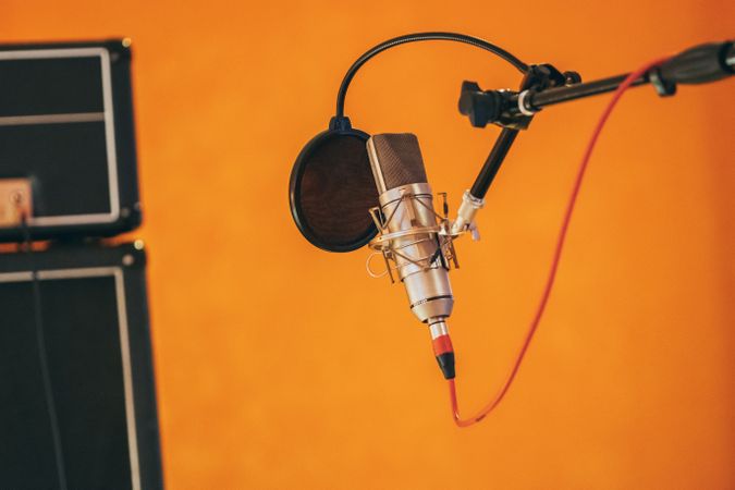 Professional studio microphone