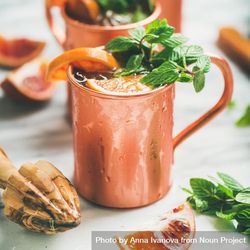 Cocktail in copper mugs with mint garnish and orange slices 5pEXg4