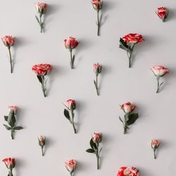 Colorful flowers pattern on light  background