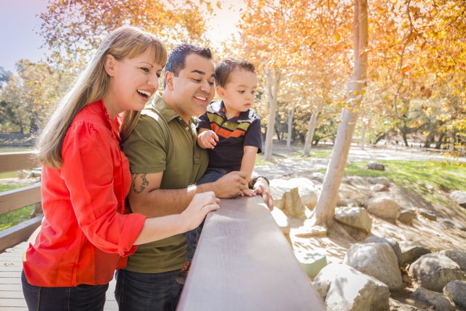 Family Enjoy a Day at The Park