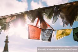 Buddhist prayer flags hung in the sunshine 41PnN5