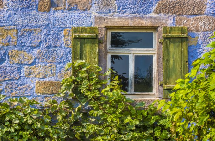 Blue house wall with window and vines