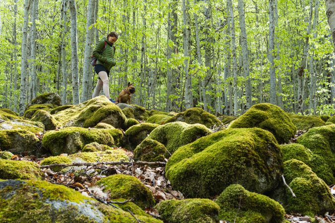 Traveling woman with dog hiking in rocky forest