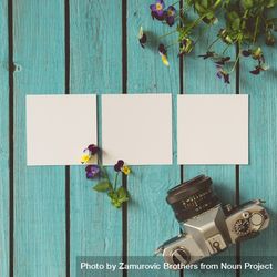 Three blank photos on wooden summer background with flowers and camera bEyVAb