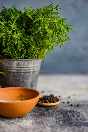 Side view of herbs and seasoning on counter